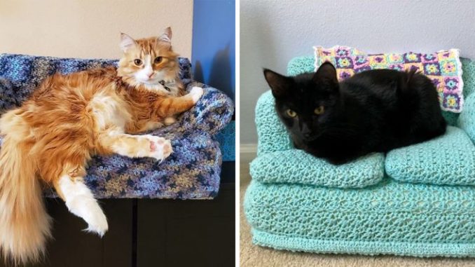 people-are-crocheting-tiny-couches-for-their-cats-758x397